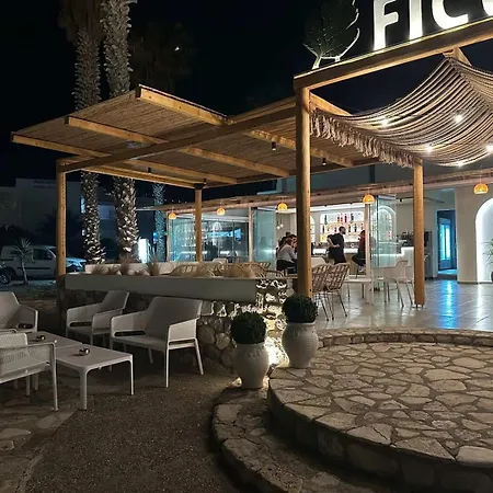 Ficus Traditional מלון