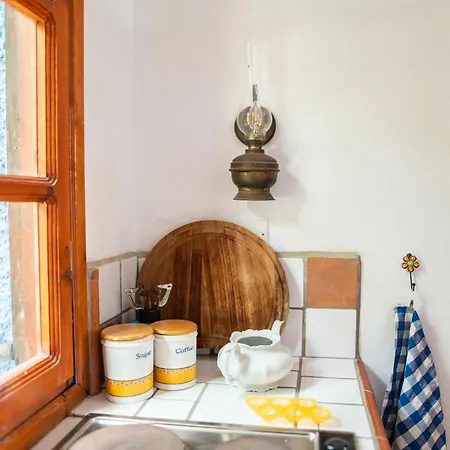 Bed & Breakfast Ficus Traditional