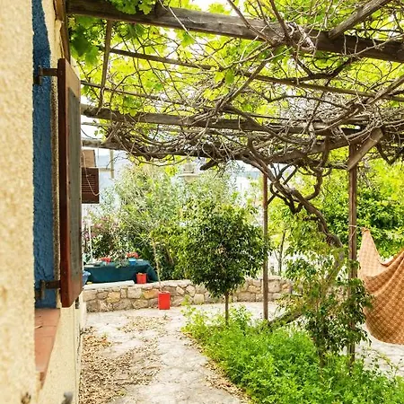Bed & Breakfast Ficus Traditional