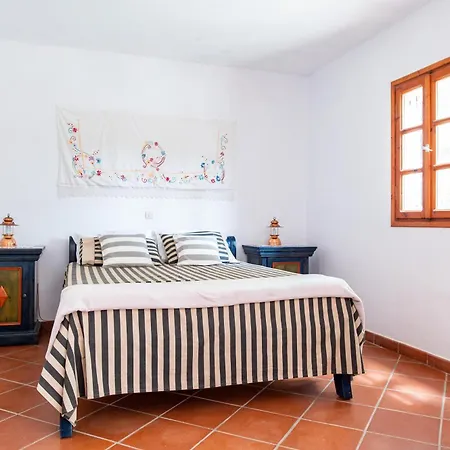 Ficus Traditional Bed & Breakfast *