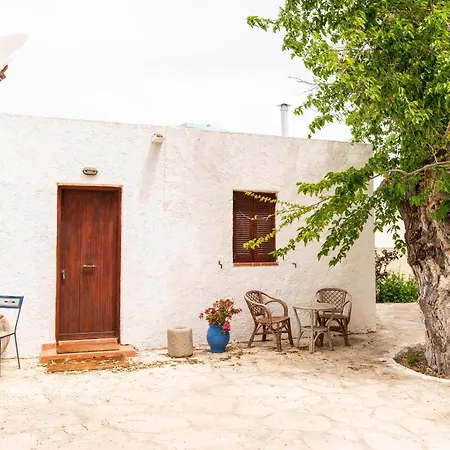Ficus Traditional * Kefalos (Kos)