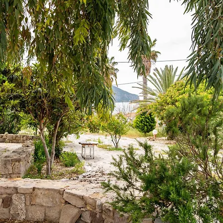 Ficus Traditional Bed & Breakfast Kefalos (Kos)